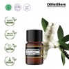 2ML GS 