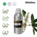 Cajuput Maluku / Kayu Putih Ambon Essential Oil Pure 100% | Melaleuca Cajuputi / Kayu Putih Maluku