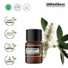 2ML GS 