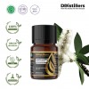 10ML GS 