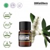 2ML GS 