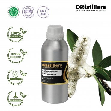 Cajuput Sumatra / Kayu Putih Aceh Essential Oil Pure 100% | Melaleuca Cajuputi / Kayu Putih Sumatra