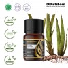 10ML GS 