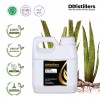 1L HDPE 