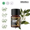 5ML GS 