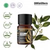 10ML GS 