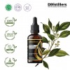 50ML GS 