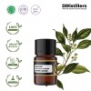 2ML GS 
