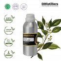 Camphor Wood / Kayu Kamper Essential Oil Pure 100% | Cinnamomum Camphora / Kayu Kamper