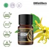 5ML GS 
