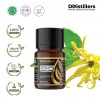 10ML GS 