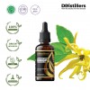 50ML GS 