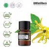 2ML GS 