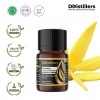 5ML GS 