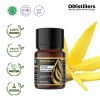 10ML GS 
