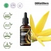 50ML GS 