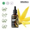 100ML GS 
