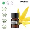 2ML GS 