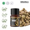 10ML GS 