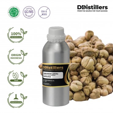 Cardamom Java / Kapulaga Essential Oil Pure 100% | Amomum compactum / Kapulaga