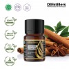 10ML GS 