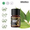 5ML GS 
