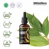 50ML GS 