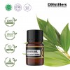 2ML GS 