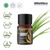 10ML GS 