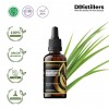 50ML GS 