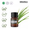 2ML GS 