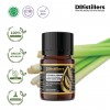 5ML GS 