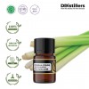 2ML GS 