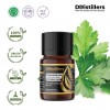 5ML GS 