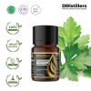 10ML GS 