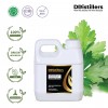 1L HDPE 