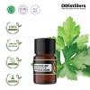 2ML GS 