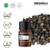 2ML GS 