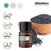 2ML GS 