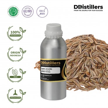 Cumin White / Jinten Putih Essential Oil Pure 100% | Cuminum Cyminum