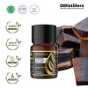 10ML GS 