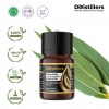 5ML GS 