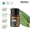 10ML GS 