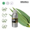 500ML SS 
