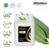 5L HDPE 