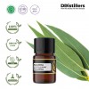 2ML GS 