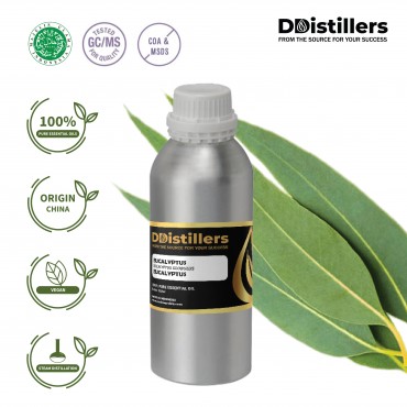 Eucalyptus / Eucalyptus Essential Oil Pure 100% | Eucalyptus Globulus