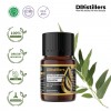 5ML GS 