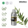 500ML SS 
