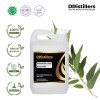 2L HDPE 
